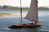 Faluca en el Río Nilo, Valle del Nilo, Egipto