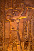 Templo de Kom Ombo, Kom Ombo, Valle del Nilo, Egipto