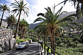 Strasse und Palmen im Valle Gran Rey, Gomera, Kanarische Inseln, Spanien, Europa