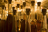 Flaschen mit Apfelsherry in der Rhöner Schau-Kelterei im Gasthof Zur Krone, das Rhönschaf Hotel, Ehrenberg, Seiferts, Rhön, Hessen, Deutschland, Europa