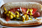 Chicago Hot Dog, Chicago, Illinois, USA