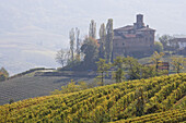 Castello della Volta, close to Barolo, Langhe, Piedmont, Italy