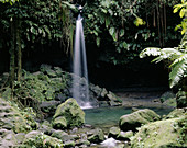 Emerald Pool, Dominica, Caribbean