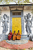 Buddhist Monks in Sri Lanka