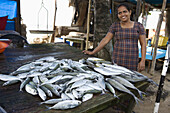 Fischmarktstand, Galle, Sri Lanka