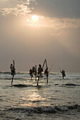 Stilt fishermen, Koggala, Sri Lanka