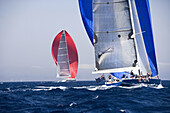 The Super Yacht Cup, Palma de Mallorca, Spain