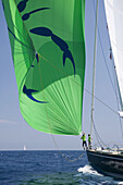 The Super Yacht Cup, Palma de Mallorca, Spain
