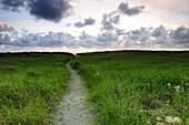 Beach, Cloud, Field, Grass, Green, Horizon, Landscape, Long, Path, Washington, G34-924959, agefotostock 