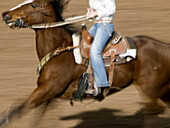 Cowboys on horses at the Tucson Rodeo in Tucson, Arizona, United States