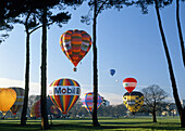 Hot-air ballooning festival in Hagley Park Christchurch New Zealand