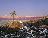 Moonset at Sunrise over Cascade Mountains, Newberry National Volcanic Monument:  Deschutes National Forest, Oregon, U.S.A.