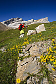 Female hiker ascending Fuorcla Starlera, Val Gronda, Wissberg in background, Grisons, Switzerland
