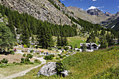 Giardino Alpino Paradisia, Valnontey valley, Gran Paradiso National Park, Aosta valley, Italy