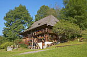 Öhlermühle in Schildwende, Jostal, Titisee-Neustadt, Südlicher Schwarzwald, Schwarzwald, Baden-Württemberg, Deutschland, Europa