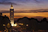 Koutoubia Mosque in the evening light, Marrakech, Morocco, Africa