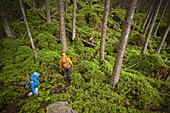 Hikers passing wood, Zillertal, Tyrol, Austria