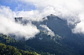 Rainforest of Tapanti National Park, Costa Rica