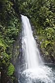 La Paz Wasserfaelle, Regenwald, Costa Rica, Mittelamerika