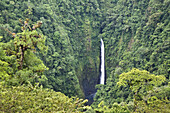 La Paz Wasserfälle, Regenwald, Costa Rica