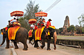 Elefants with tourists at Wat Phra Ram in the old kingdomtown Ayutthaya, Thailand, Asia