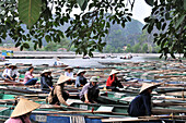 Boote am Fluß, Tam Coc in Halong Bucht bei Ninh Binh, Nord- Vietnam, Vietnam