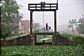 Person pushing bike, landscape in Halong bay near Ninh Binh, north Vietnam, Vietnam