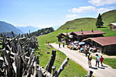 Hikers at the Walleralm near Scheffau at Wilder Kaiser, Tyrol, Austria