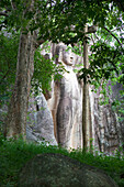 Überlebensgrosser stehender Buddha namens Sasseruwa am Höhlenkloster Rasvehera, Sri Lanka, Asien