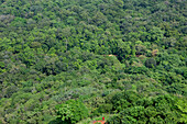 View from the Sigiriya peak upon the protected forest, Sigiriya, Sri Lanka, Asia
