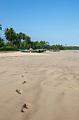 Fußspuren im Sand zu den Fischerboote am Strand von Talalla, Talalla, Matara, Südküste, Sri Lanka, Asien