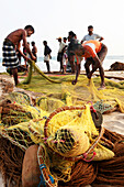 Sinhalese fishermen at Talalla beach pulling in their fishing net, Talalla, Matara, South coast, Sri Lanka, Asia