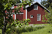 A swedish wooden house in the sunlight, Höga Kusten, Vaesternorrland, Sweden, Europe