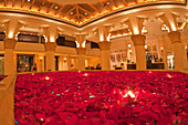 Roses in the Lobby of Medinat Jumeirah, Dubai, United Arab Emirates
