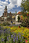 Blumenbeete vor der Wawel Kathedrale, Krakau, Polen, Europa