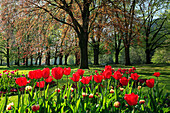 Lichtentaler Allee, Baden-Baden, Nördlicher Schwarzwald, Baden-Württemberg, Deutschland