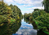 River Spree in Autumn, Luebben, Spreewald, Land Brandenburg, Germany