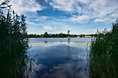 Havel Fluß in der Nähe von Oranienburg, Land Brandenburg, Deutschland