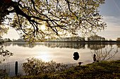 Lake near Roebel, Mecklenburg lake District, Mecklenburg-Western Pomerania, Germany