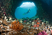 Taucher in Grotte, Raja Ampat, West Papua, Indonesien