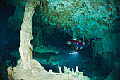 Scuba Diver in Dos Ojos Cenote, Playa del Carmen, Yucatan Peninsula, Mexico