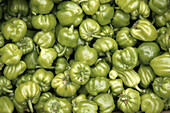 Green peppers