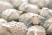 Ceramic sheep