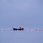 Fisherman in rowing-boat