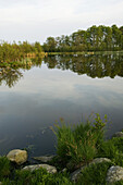 Nature reserve, Abullahagen, Eslov, Skane, Sweden