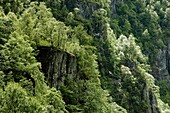 Green mountain side, Suldal, Norway