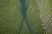 Shadow of windmill in agricultural landscape