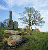 Prehistoric burial ground