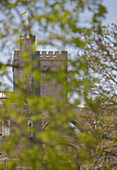 Helsingborg castle