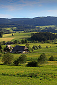 Black Forest house in idyllic landscape, Black Forest, Baden-Württemberg, Germany, Europe